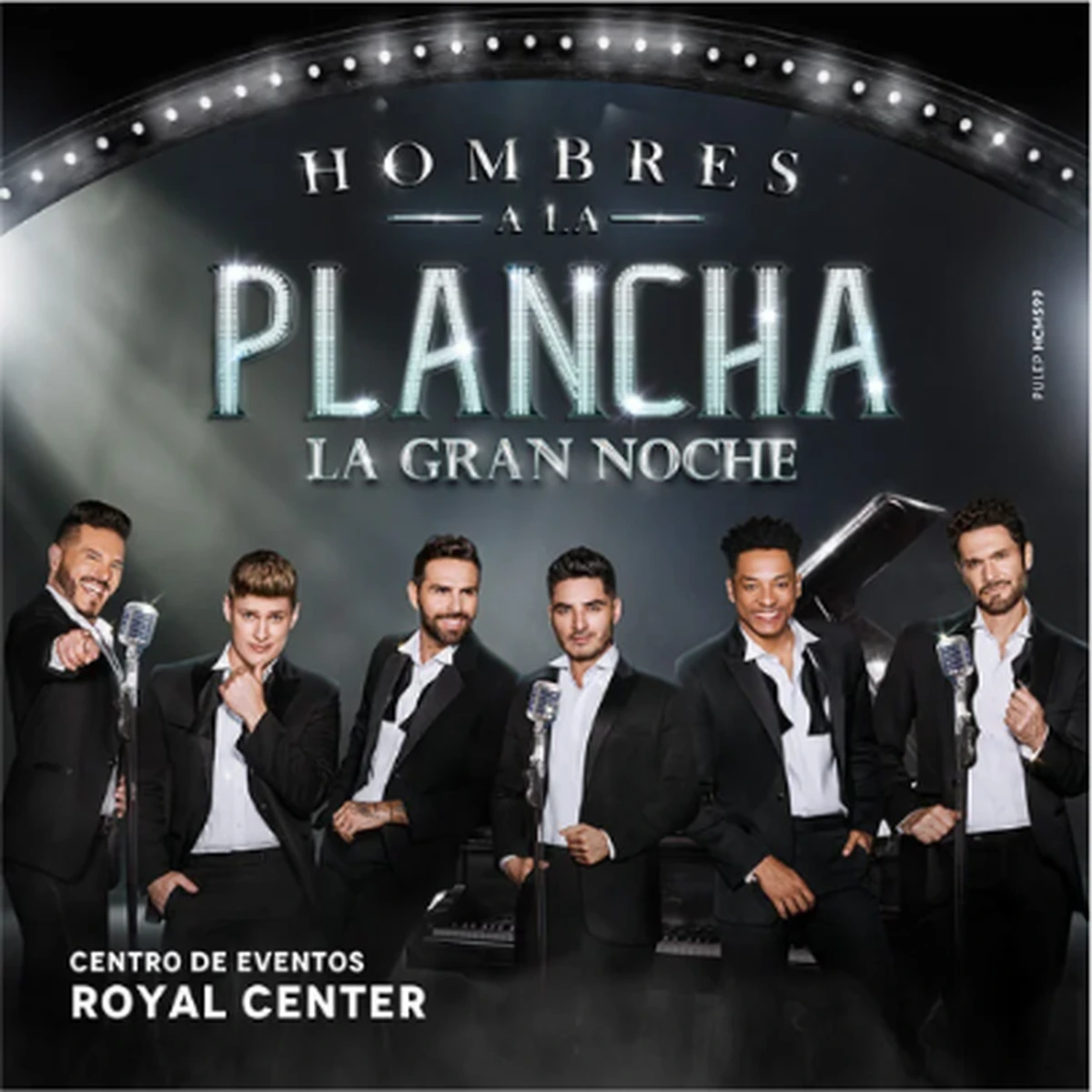 Imagen oficial de Hombres a la Plancha: La Gran Noche